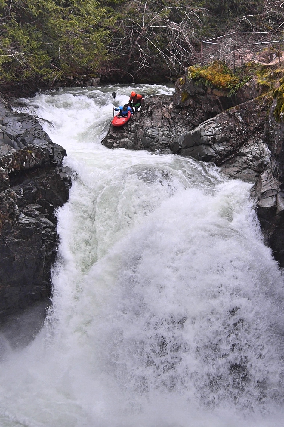 Ben Ghertner Seal Launching into Little Qualicum Falls_Fotor